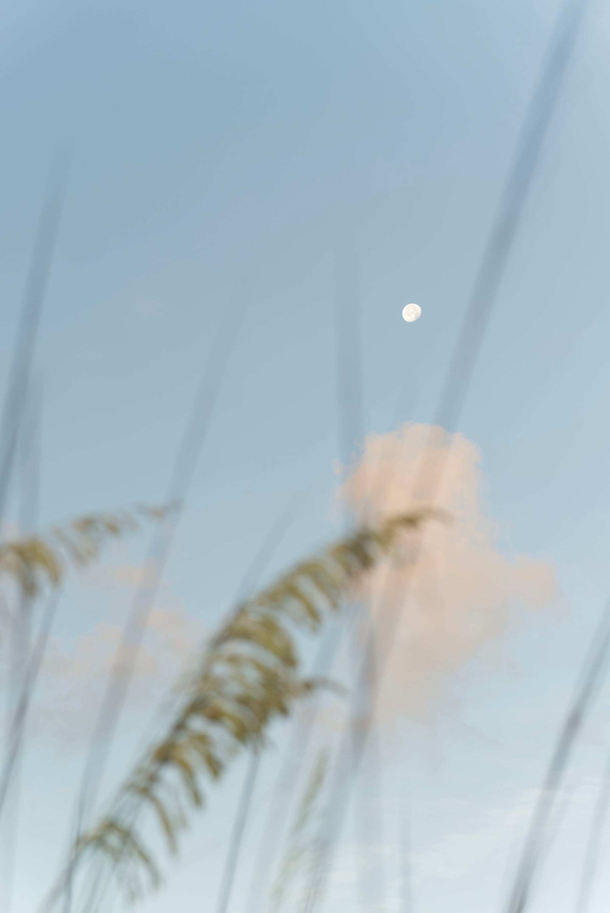 03 JUL 26